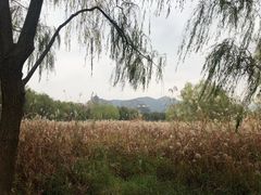 -长兴太湖图影湿地文化园