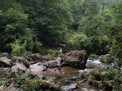 -龙苍沟森林公园