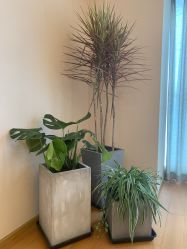 -久匠·野生眉半永久纹眉