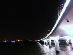 -演武大桥观景平台