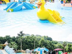 -重庆海昌加勒比海水世界