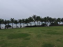 -深圳湾公园(南山区)