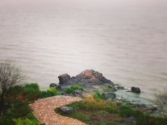-上海市保健医疗中心(华东疗养院)