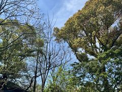 -上海市龙华烈士陵园