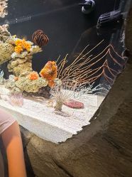 -Zoolung Zoolung动物主题公园(海信广场店)