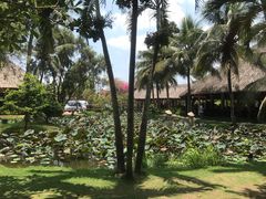-Mekong Rest Stop