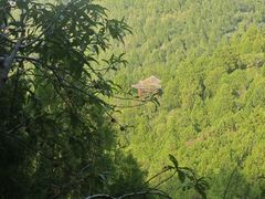 -佛慧山