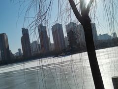 -迎泽公园