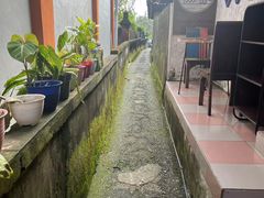 -Warung Babi Guling Ibu Oka 3