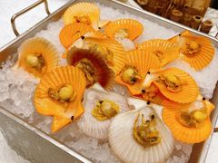 -沈阳和平艾美酒店新食谱西餐厅