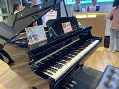 -柏斯琴行(汾阳店)