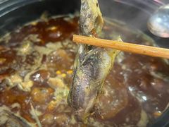 -金海椒罐罐鲢鱼(东方桂苑店)