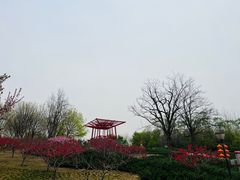 -大望京公园