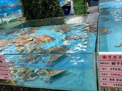 -宝燕海鲜(好爱店)