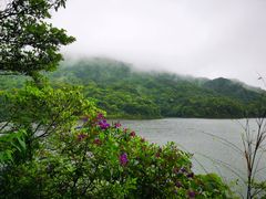 -广州市石门国家森林公园