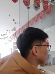 -爱维丽