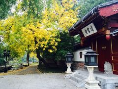-钓鱼台国宾馆