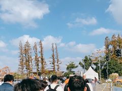 -上海长兴岛郊野公园