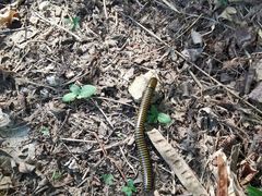 -北京西山国家森林公园