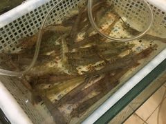 -盐通酒家(金桥湾清水苑店)