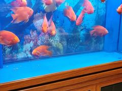 -新碧水留香新桑拿