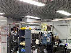 -达爱动物医院·犬猫分区·CT·复杂眼科(远洋山水分院)