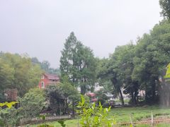 -野蔓果·山野菜(西湖景区·龙井茶田店)