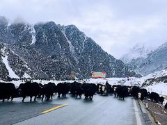 -扁都口生态休闲旅游区