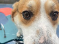 -麦当劳(光新乐购店)