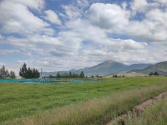 -扁都口生态休闲旅游区