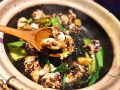 生啫八爪鱼-啫神·广州地标美食(北京路店)