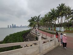 -万绿园
