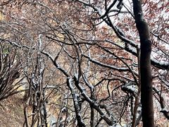 -敬亭山风景名胜区