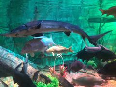 -沈阳海洋探索中心