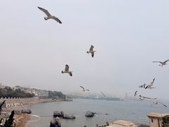 -黑石礁公园
