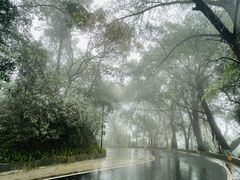 -广州市白云山风景名胜区