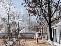 -九十九顶毡房(阜石路店)