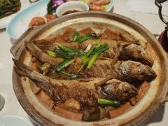 -新侨小馆(东直门北小街店)