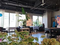 -百好乐宠物友好餐厅(朝外大街店)