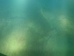 -白鹤梁水下博物馆