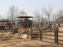 -大连森林动物园