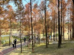 -牛岗山公园