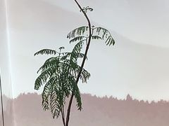-咏江南·苏式火锅·苏州评弹(观前街店)