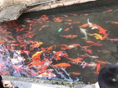 -前童古镇