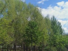 -吉林大学(前卫南区)