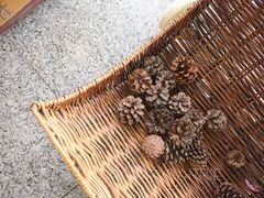 -莫内艺术岛海景咖啡