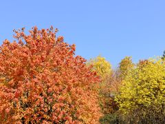 -艾溪湖湿地公园