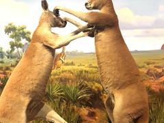 -陕西自然博物馆