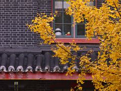 -四川大学(华西校区)