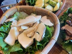 -滇野云南野生菌餐厅(陕西南路店)